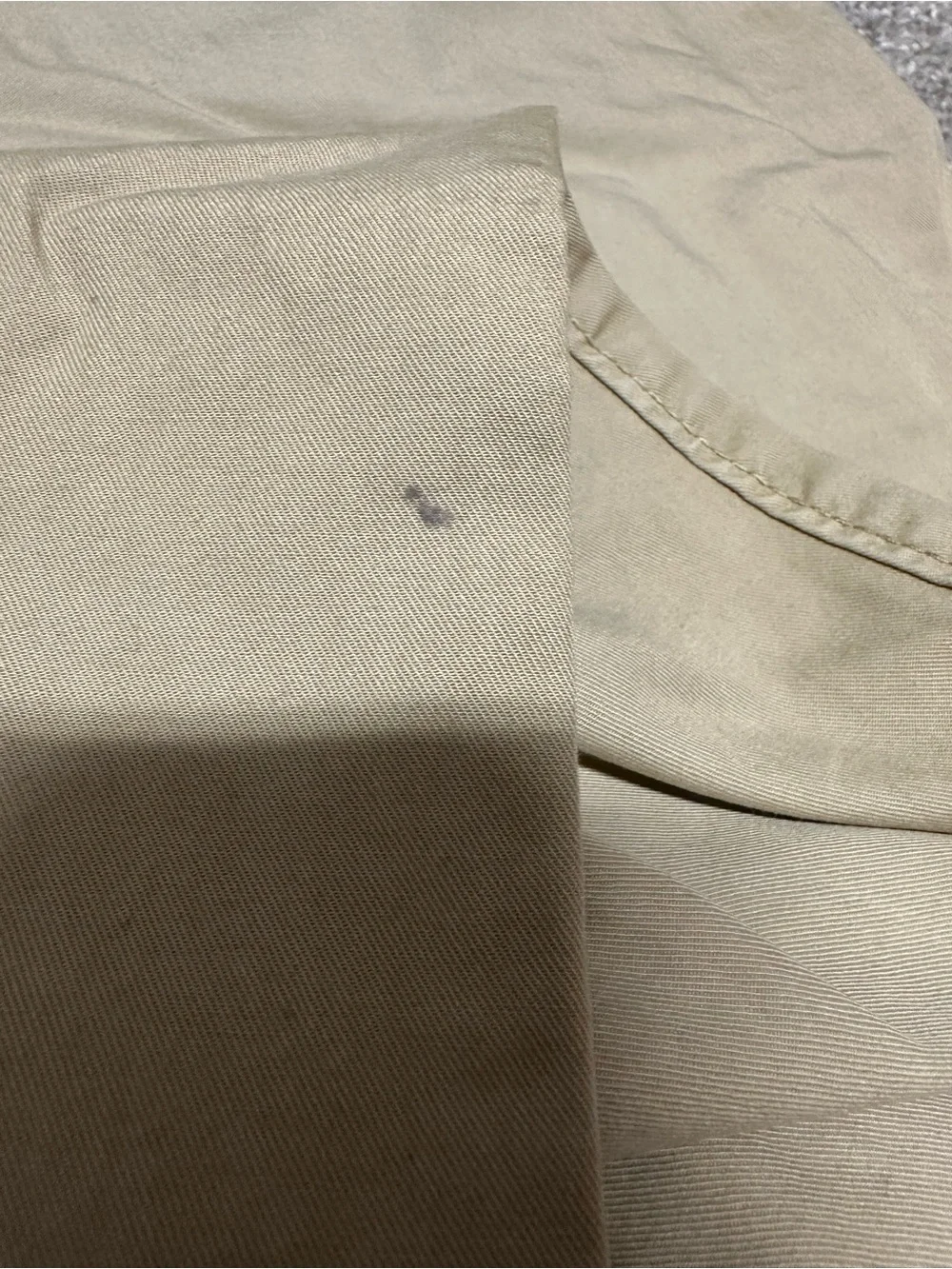 Levis pairs total